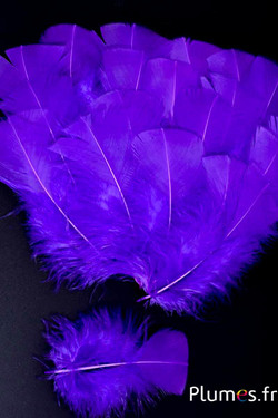 Dinde - 6-8 cm - violet